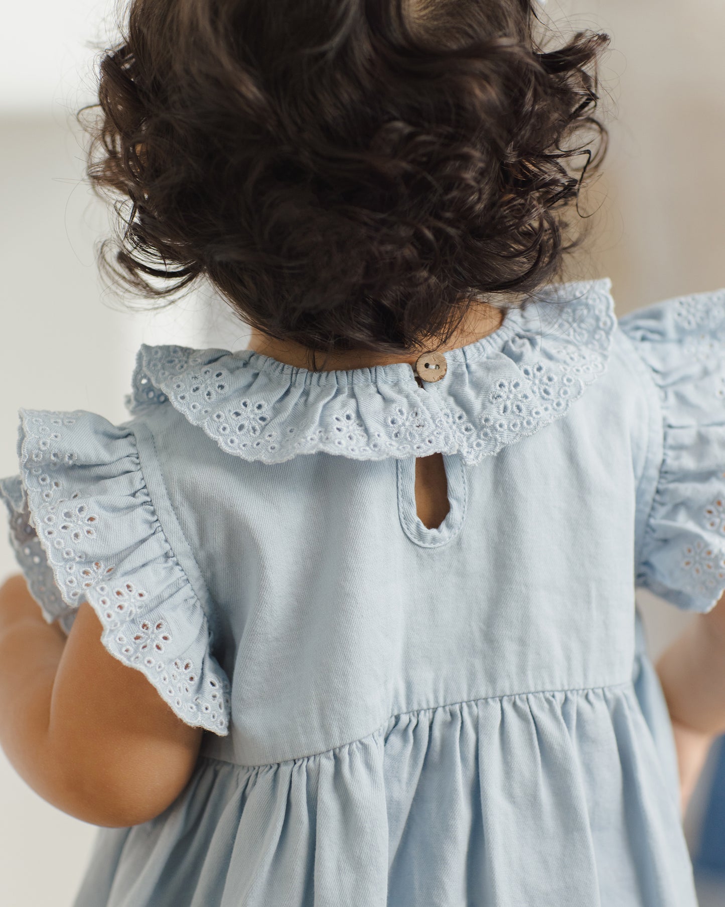 Sophie Dress Chambray