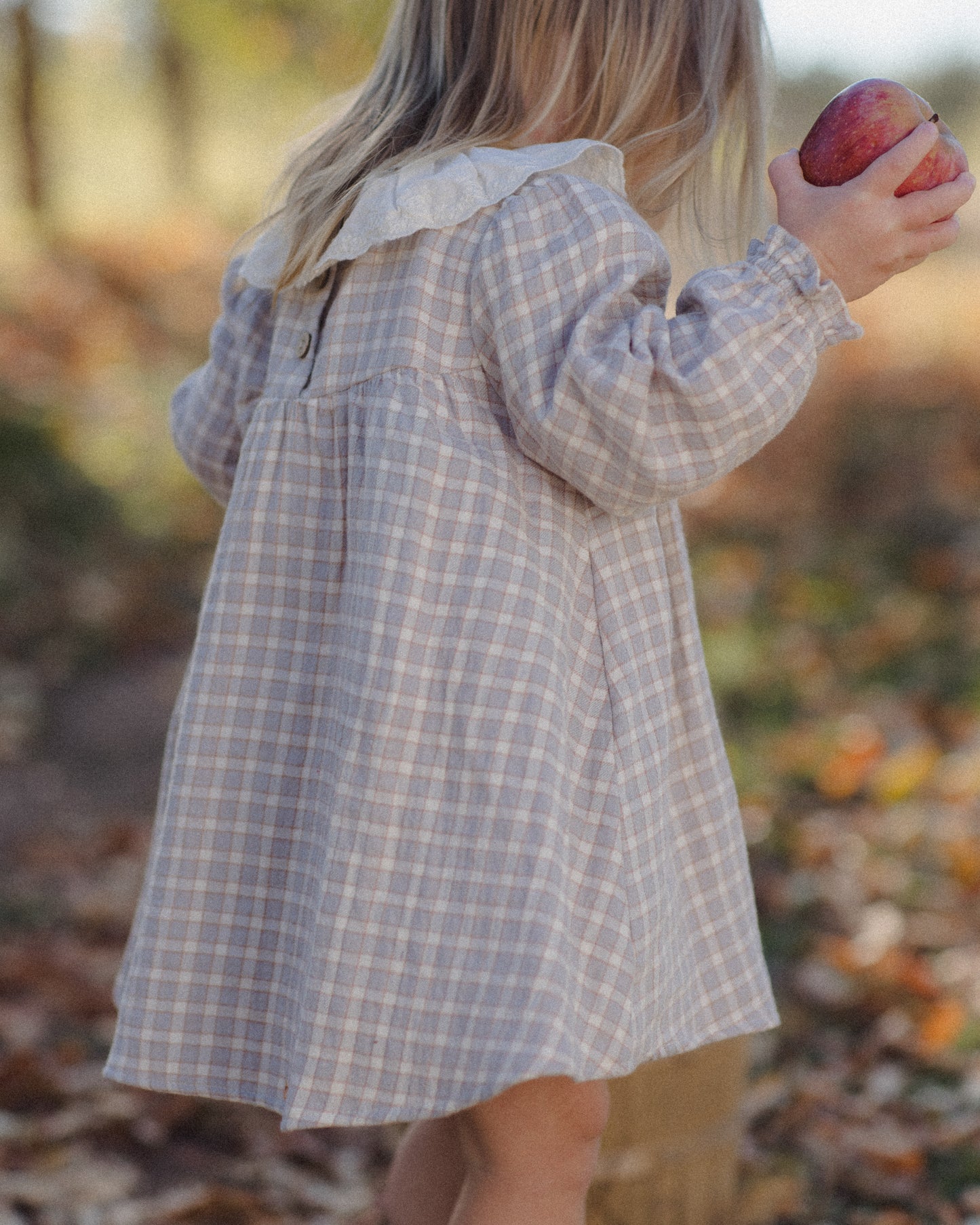 CALLIE DRESS BLUE GINGHAM
